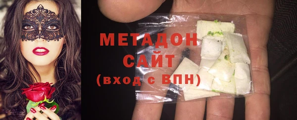 шишки Надым