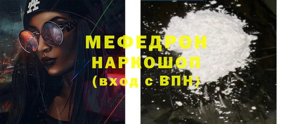 шишки Надым