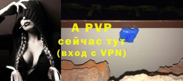 шишки Надым