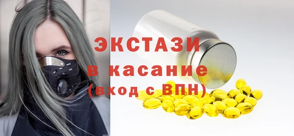 шишки Надым