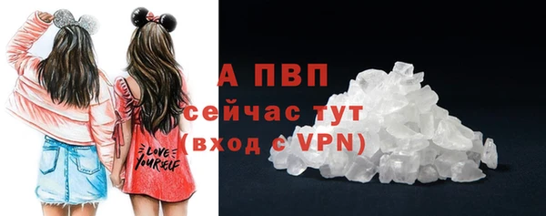шишки Надым