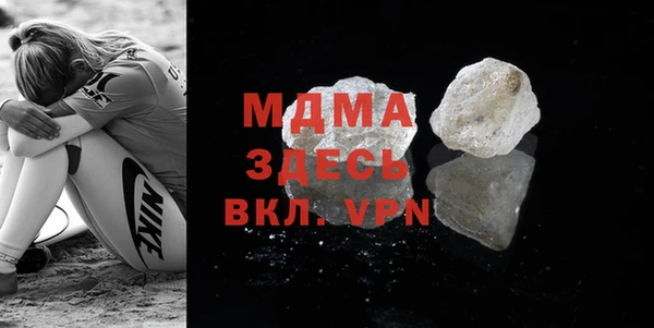 шишки Надым