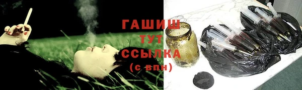 шишки Надым