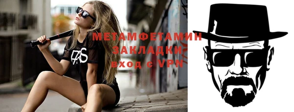 шишки Надым