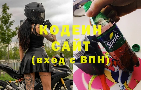шишки Надым
