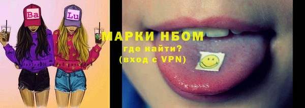 шишки Надым