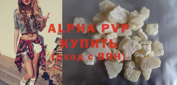 шишки Надым