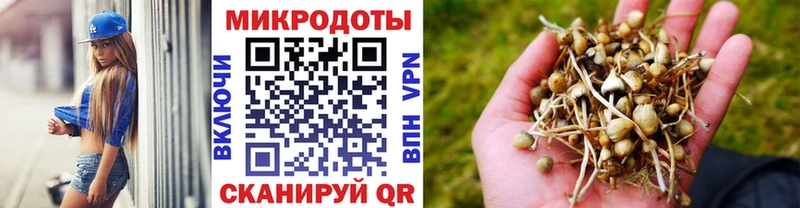 Псилоцибиновые грибы мицелий Невельск